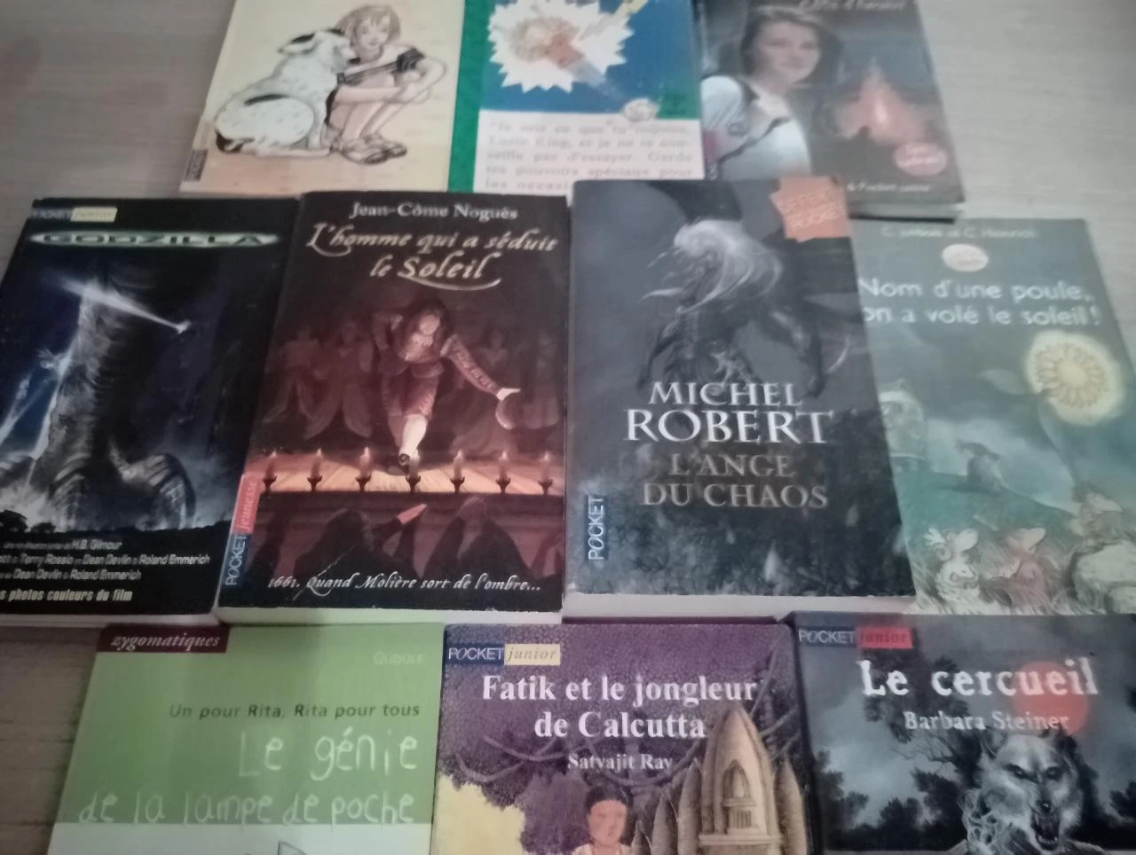 Lot de 10 livres de poches divers (2.99 les 10)(32) – photo 2